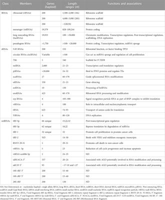 Current frontiers in RNA research